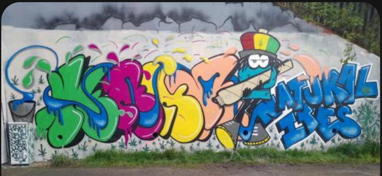 Colourful Dready lettering piece on a long wall